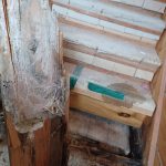 Rotten stair