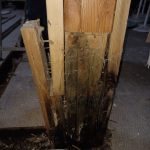 1 of 2 rotten support beam